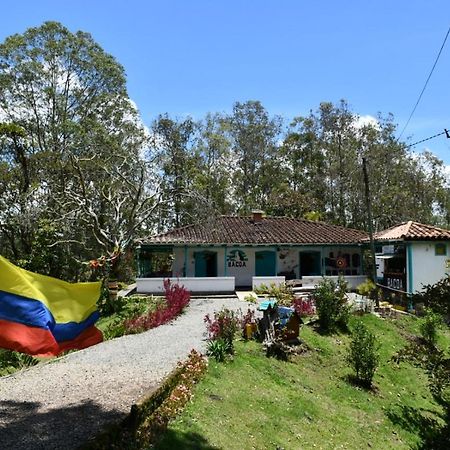 غواتابيه Bacoa Hostel المظهر الخارجي الصورة
