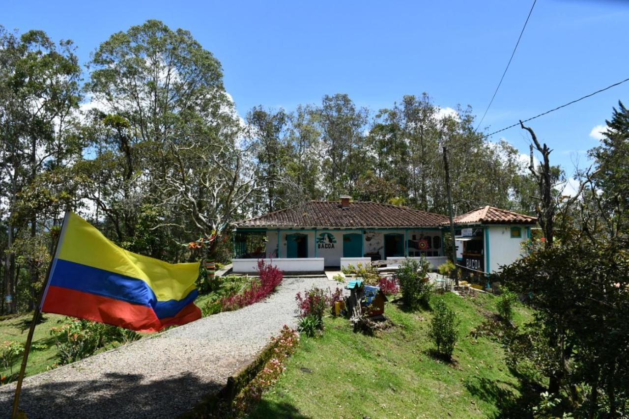 غواتابيه Bacoa Hostel المظهر الخارجي الصورة